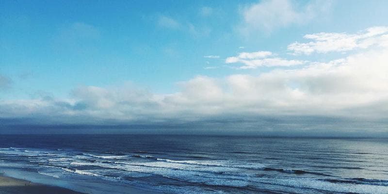 পালকের কলম